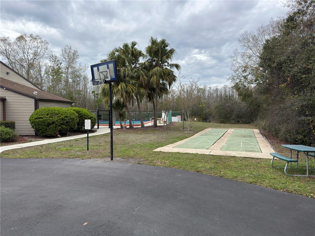 12155 Environmental Drive, Unit 6 New Port Richey, FL 34654 - Photo 30 of 31 a view of backyard with green space