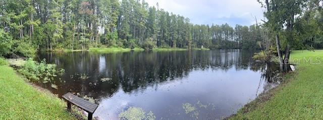12155 Environmental Drive, Unit 6 New Port Richey, FL 34654 - Photo 31 of 31 a view of a lake with a yard