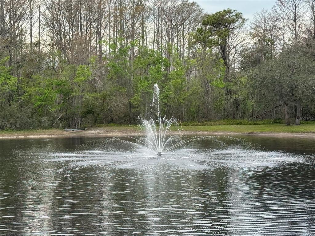 12155 Environmental Drive, Unit 6 New Port Richey, FL 34654 - Photo 5 of 31 a view of water with water fountain in middle