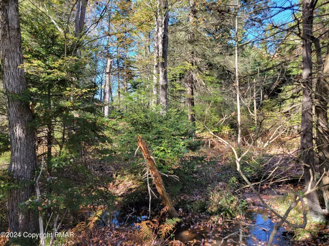 $12,000 | Lot 18-19 Louis Lane, Gouldsboro, PA 18424