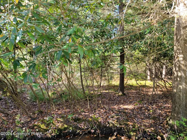 $12,000 | Lot 18-19 Louis Lane, Gouldsboro, PA 18424