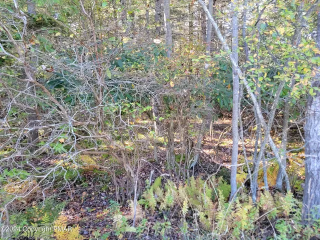 $12,000 | Lot 18-19 Louis Lane, Gouldsboro, PA 18424