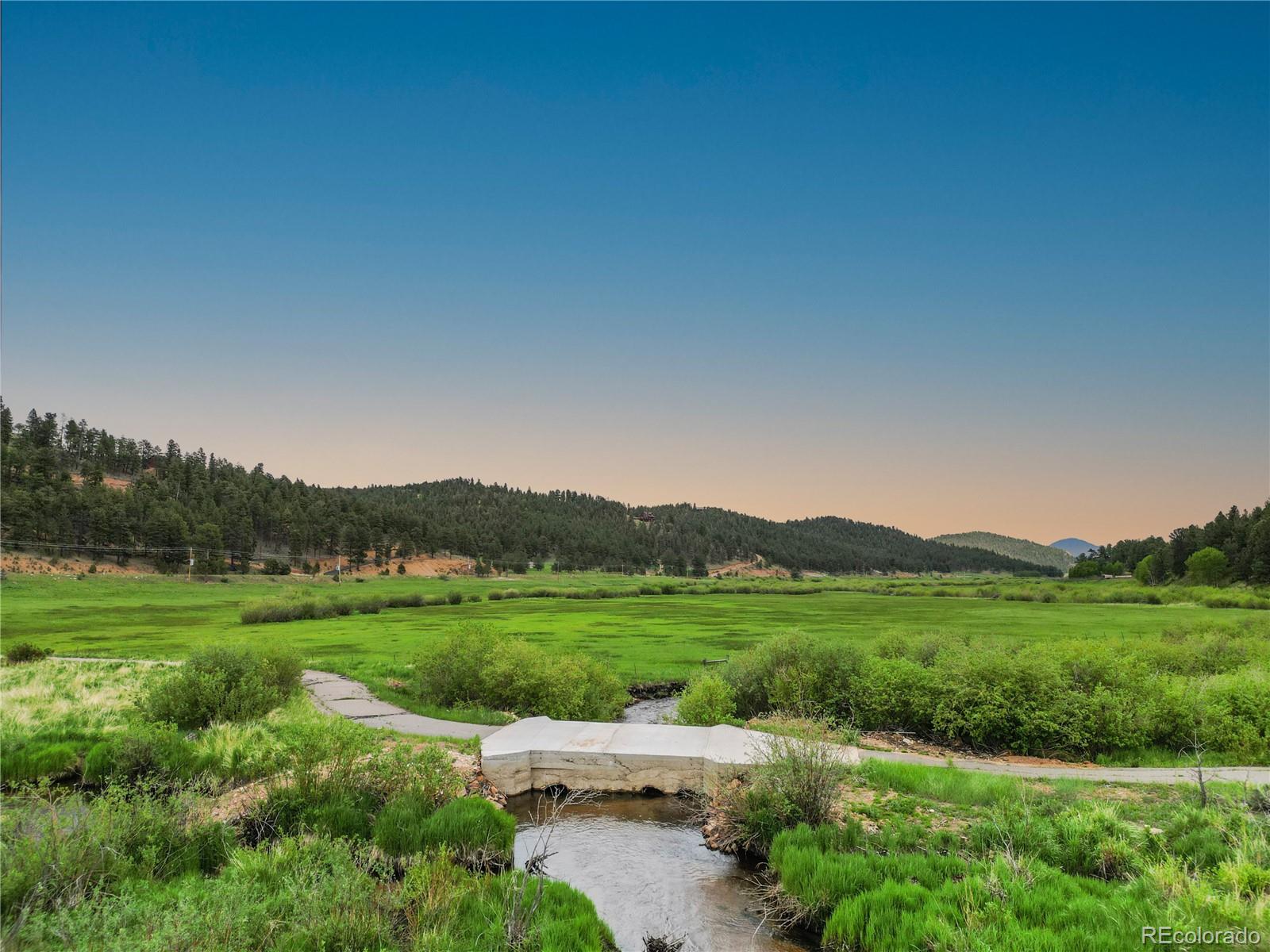 3763 County Road 43 Bailey, CO 80421 - Photo 12 of 40