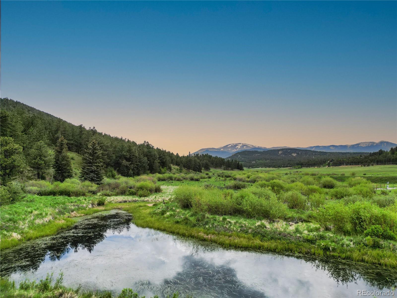 3763 County Road 43 Bailey, CO 80421 - Photo 13 of 40