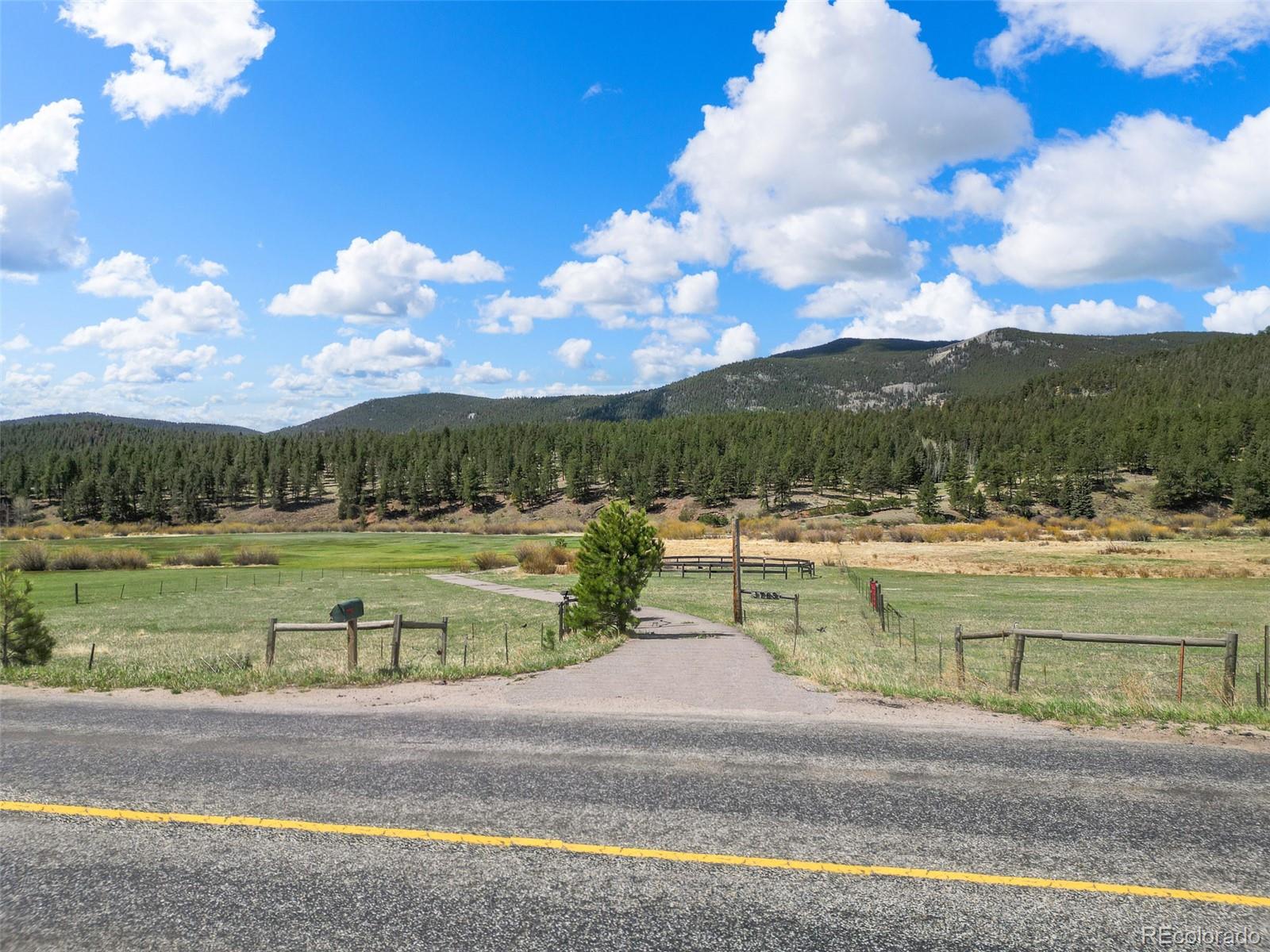 3763 County Road 43 Bailey, CO 80421 - Photo 21 of 40
