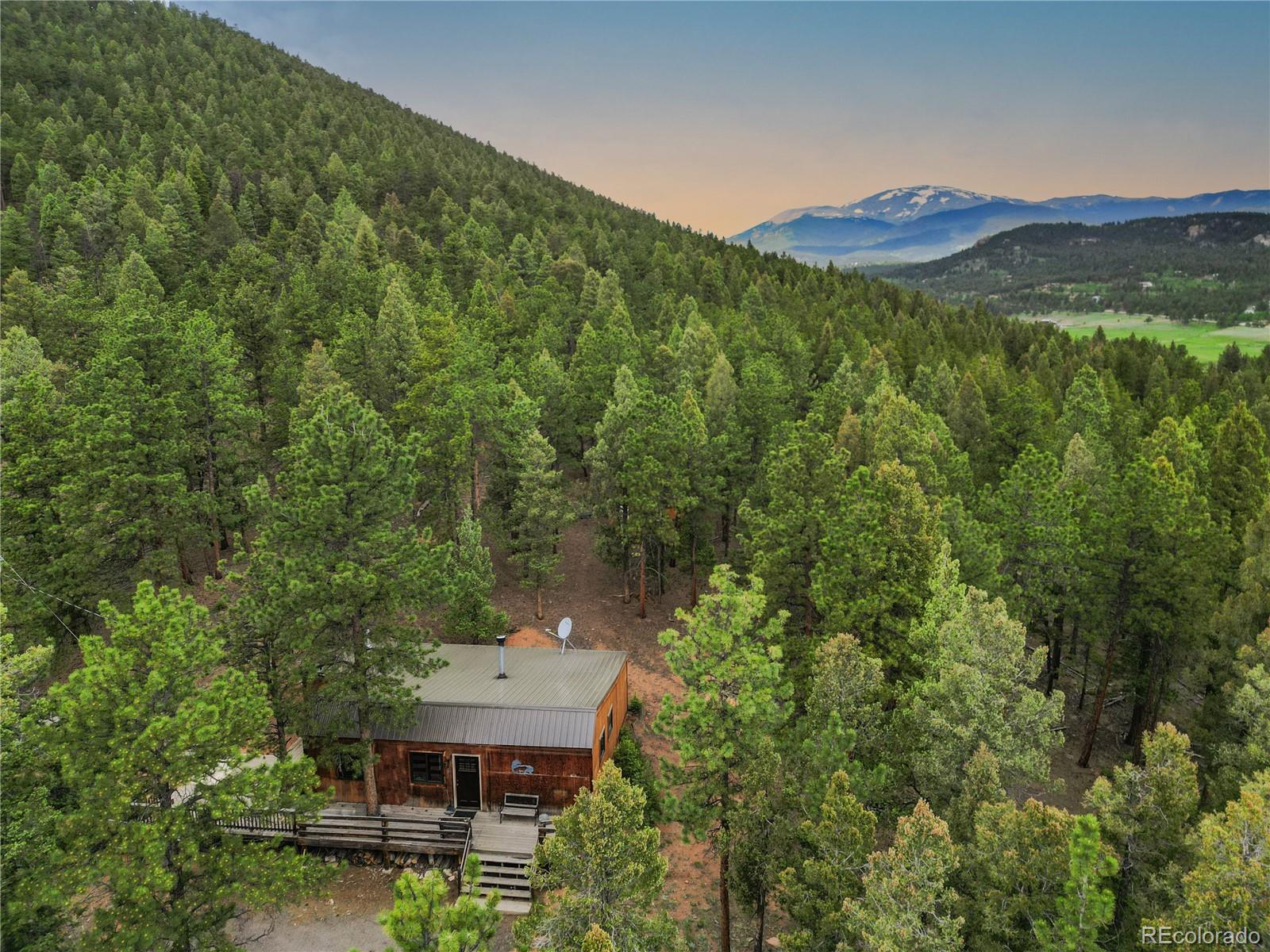 3763 County Road 43 Bailey, CO 80421 - Photo 22 of 40 a view of a lush green forest with a house