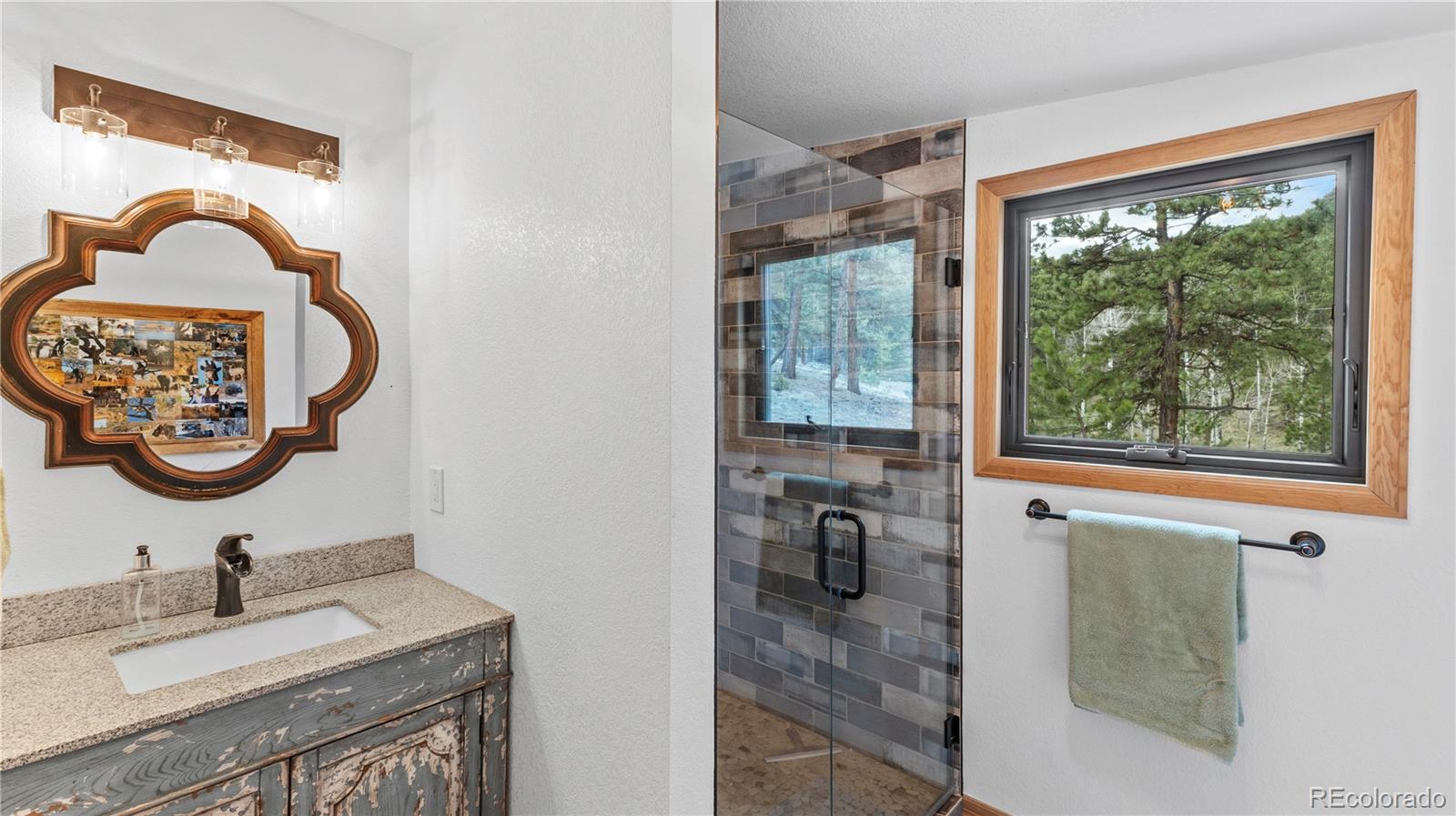 3763 County Road 43 Bailey, CO 80421 - Photo 30 of 40