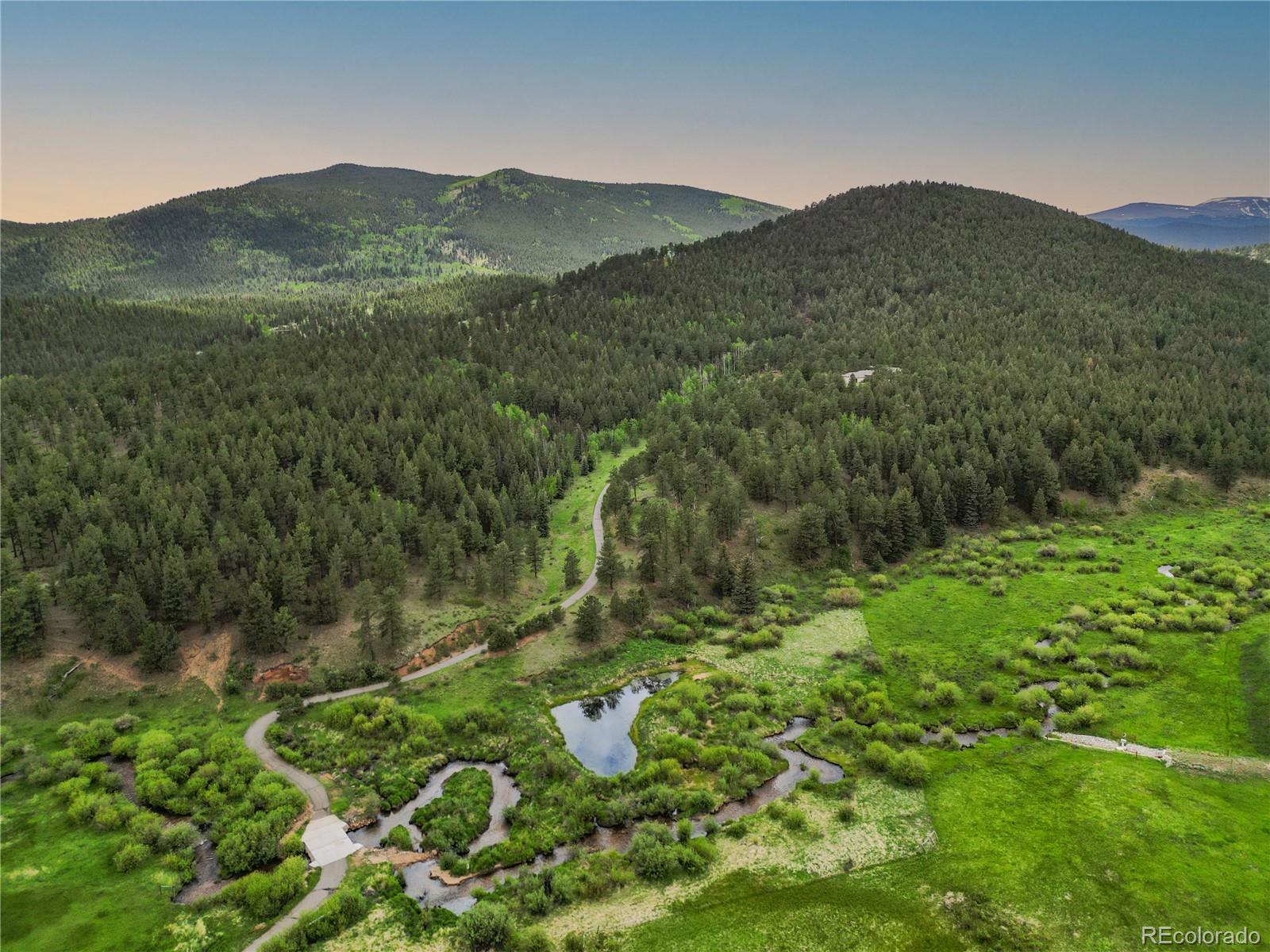 3763 County Road 43 Bailey, CO 80421 - Photo 10 of 40