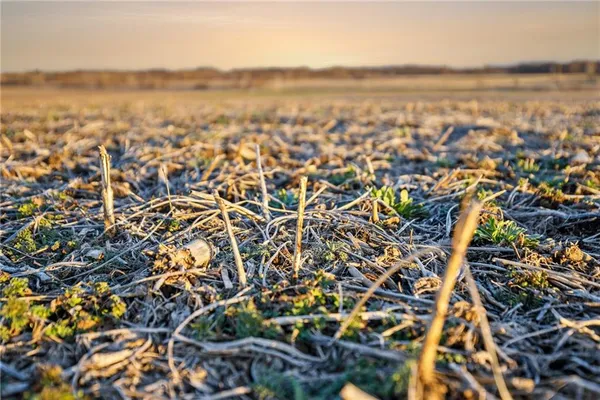 $599,900 | 598 North Highway 65 N/a, Trenton, MO 64683