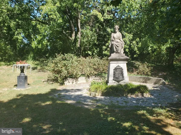 a vase of flowers sitting in a yard
