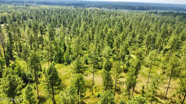 $240,000 | 1 Dry Grove Road, Terry, MS 39170