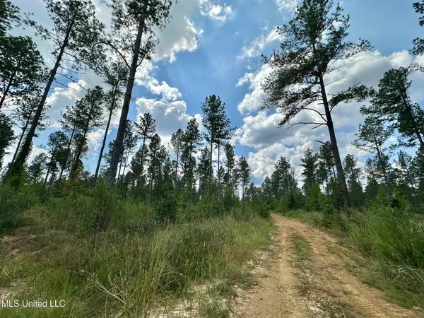 $240,000 | 1 Dry Grove Road, Terry, MS 39170