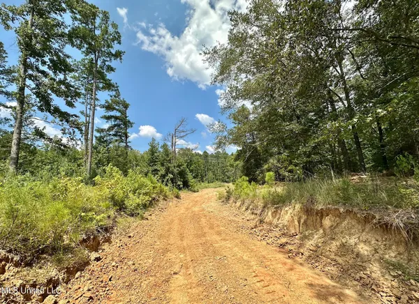$240,000 | 1 Dry Grove Road, Terry, MS 39170