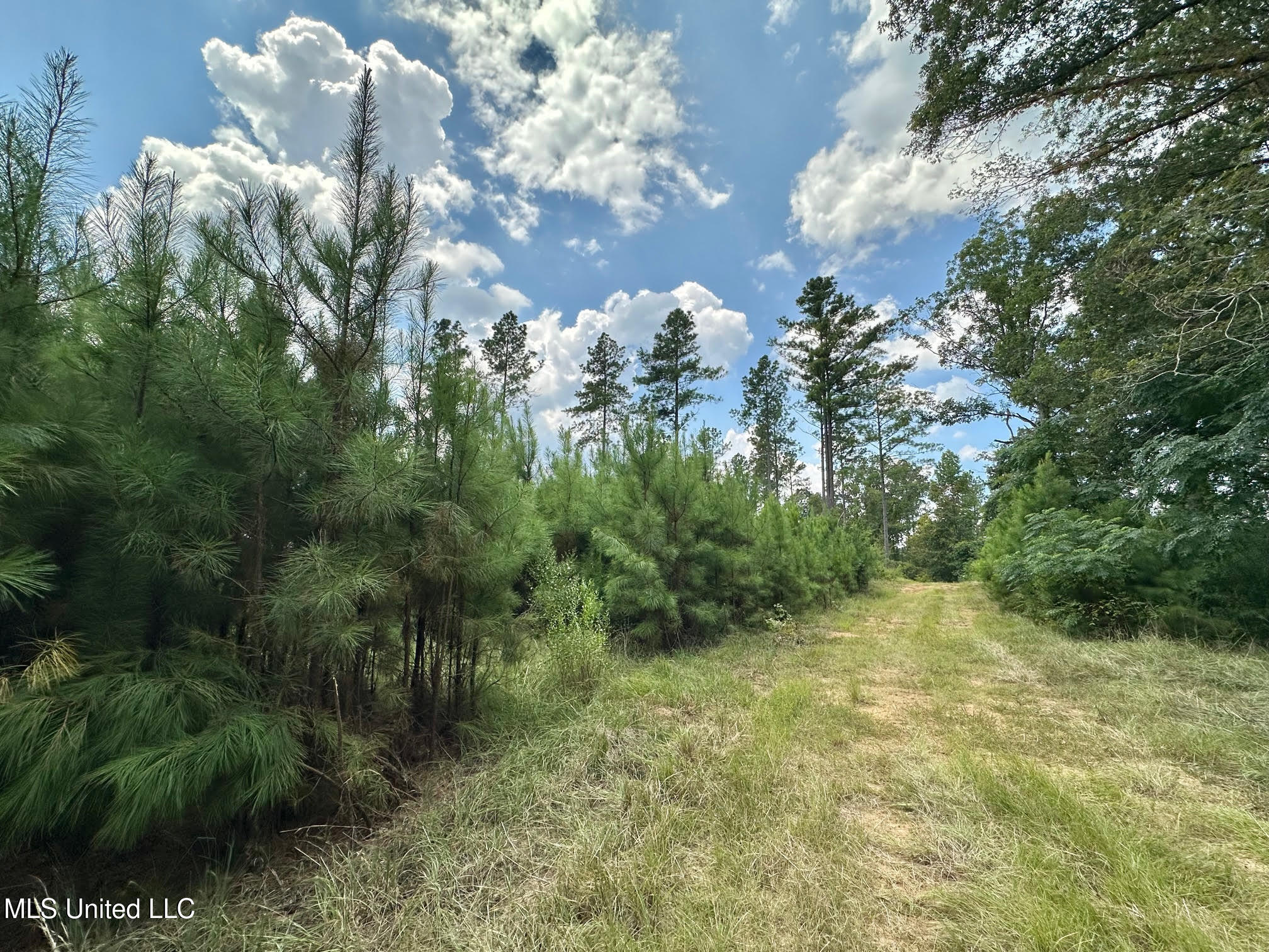 1 Dry Grove Road Terry, MS 39170 - Photo 7 of 18 15