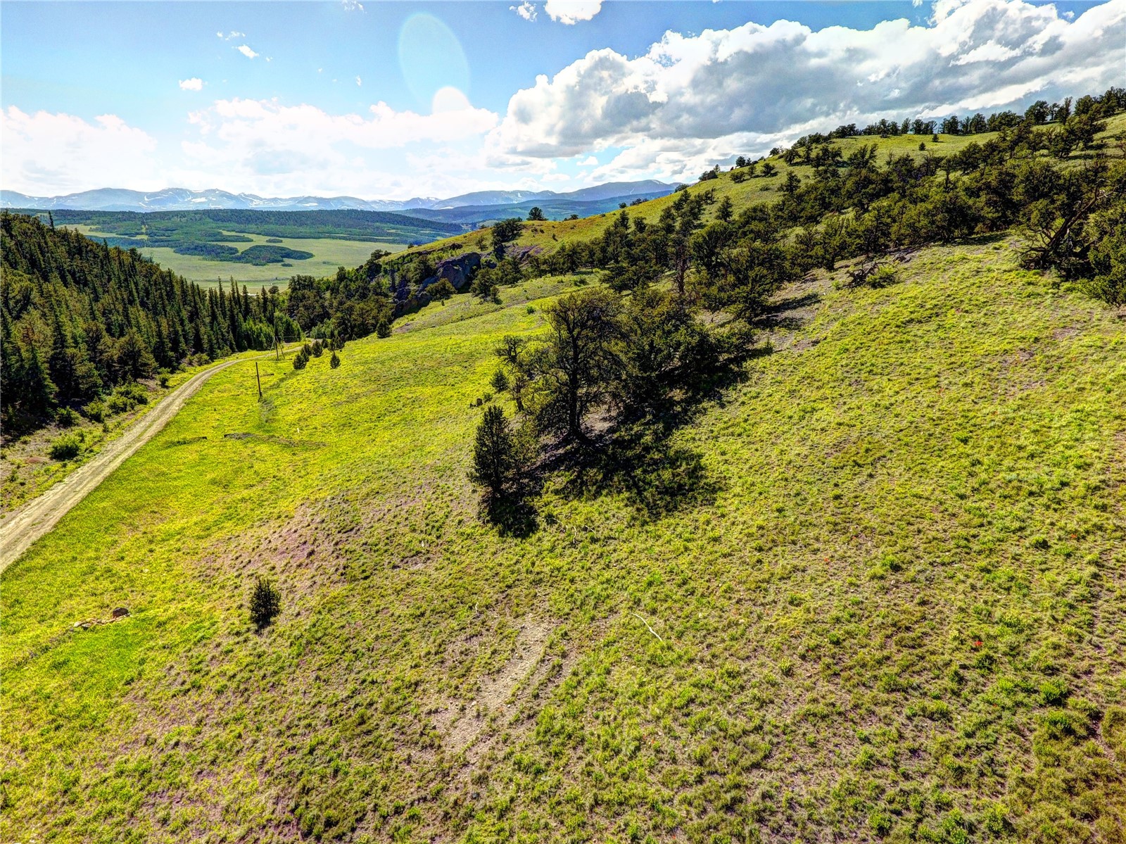 2739 Reinecker Ridge Road Fairplay, CO 80440 - Photo 11 of 13 Gallery Image 11