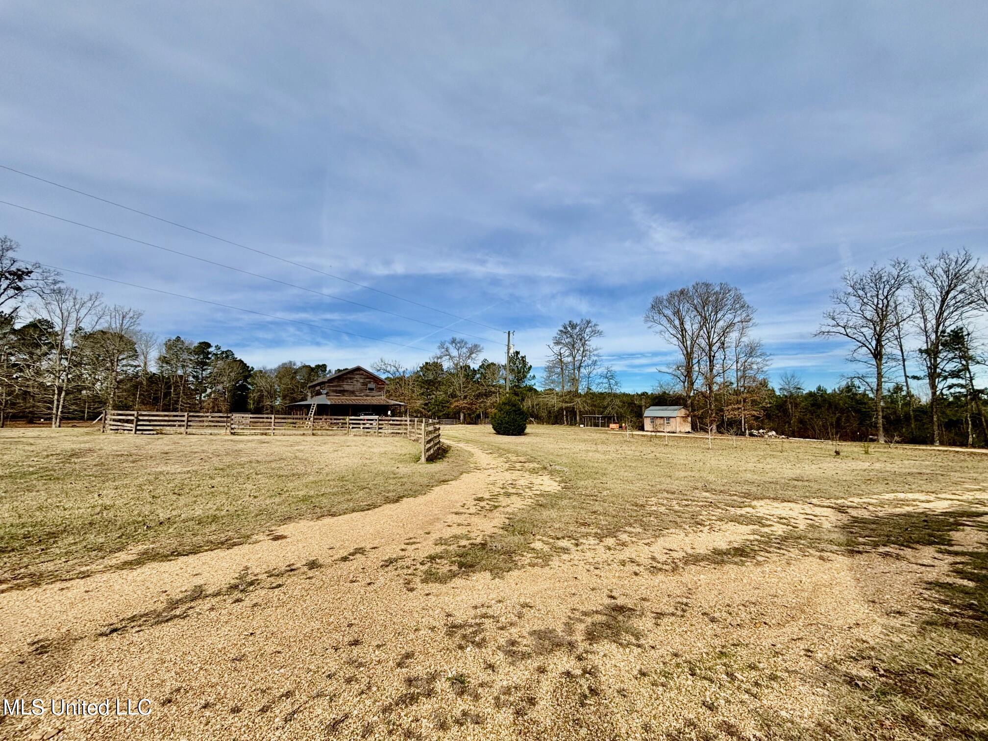 299 Robert Tynes Road Monticello, MS 39654 - Photo 16 of 17 IMG_1333
