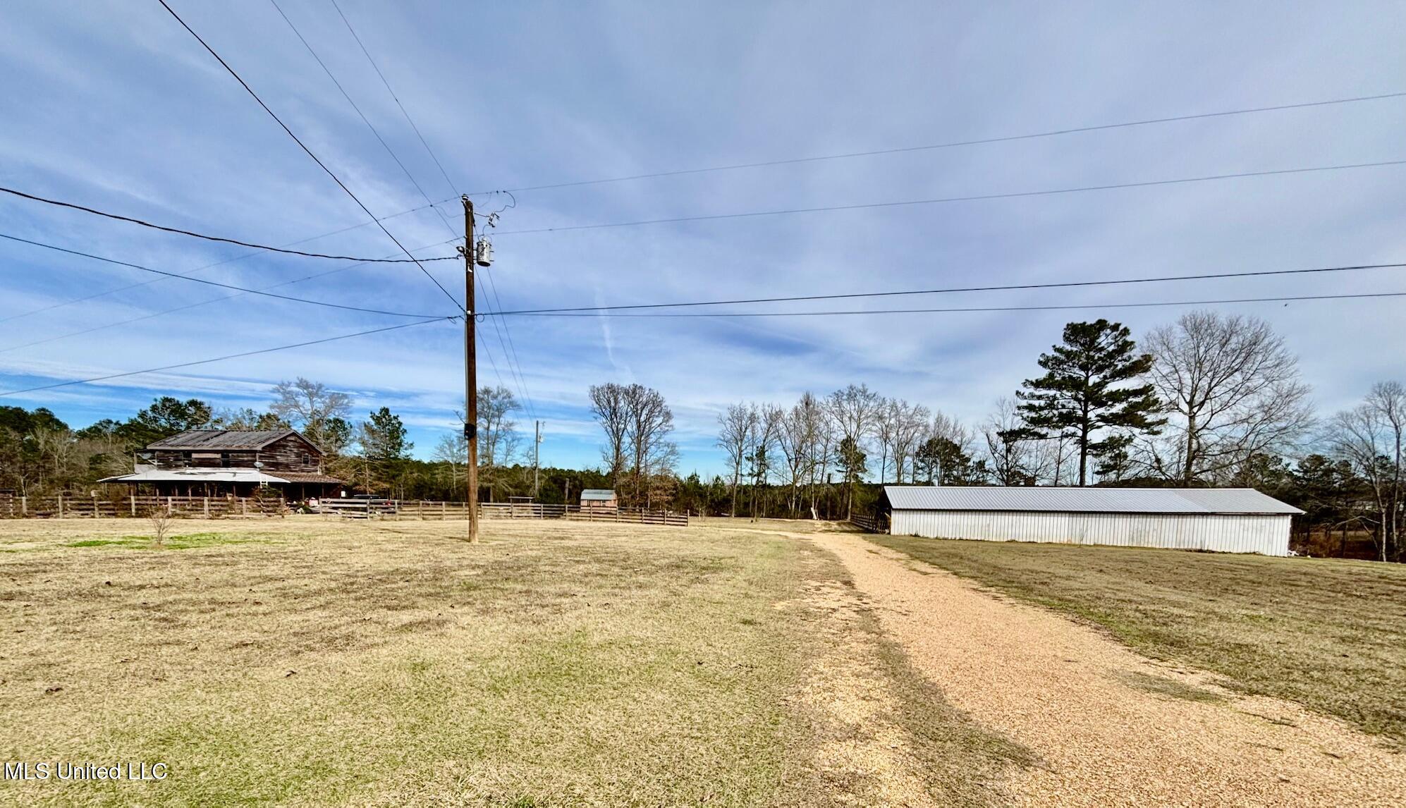 299 Robert Tynes Road Monticello, MS 39654 - Photo 17 of 17 IMG_1332