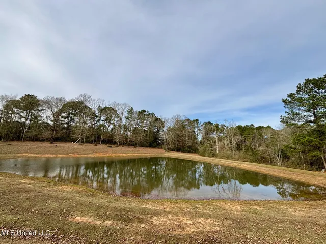 $120,000 | 299 Robert Tynes Road, Monticello, MS 39654