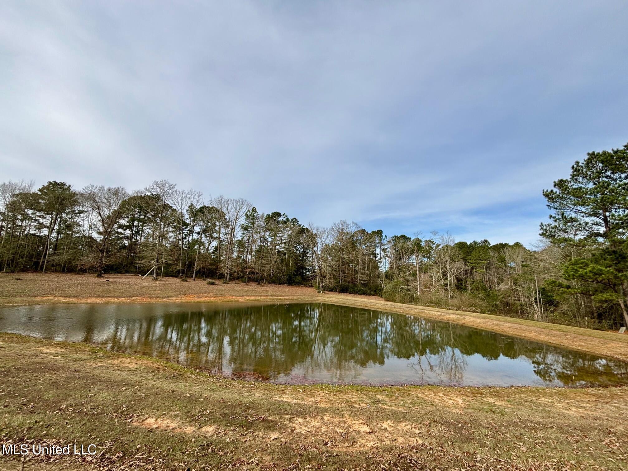 299 Robert Tynes Road Monticello, MS 39654 - Photo 4 of 17 IMG_1319