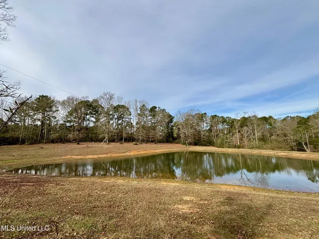 $120,000 | 299 Robert Tynes Road, Monticello, MS 39654