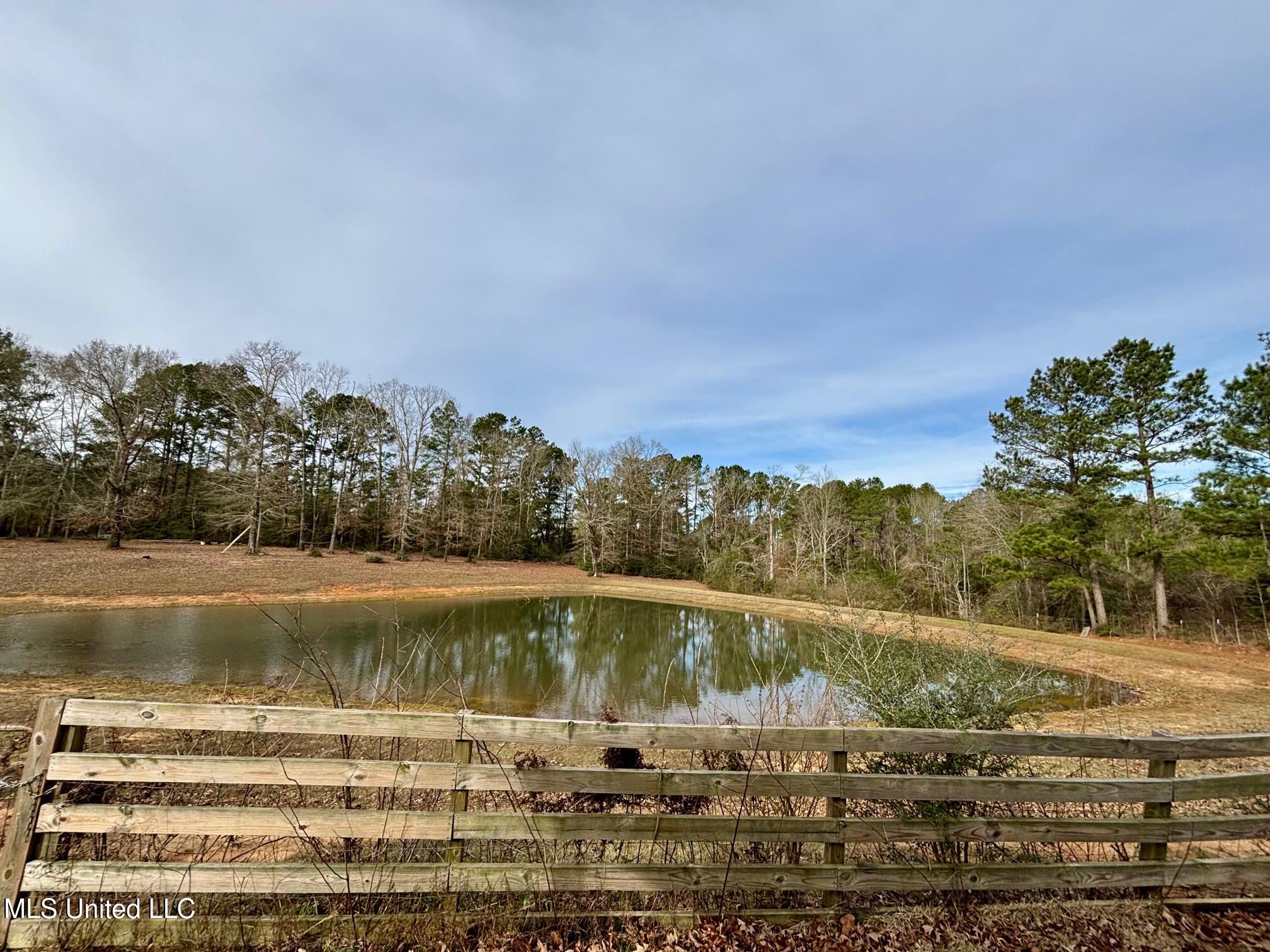 299 Robert Tynes Road Monticello, MS 39654 - Photo 10 of 17 IMG_1318