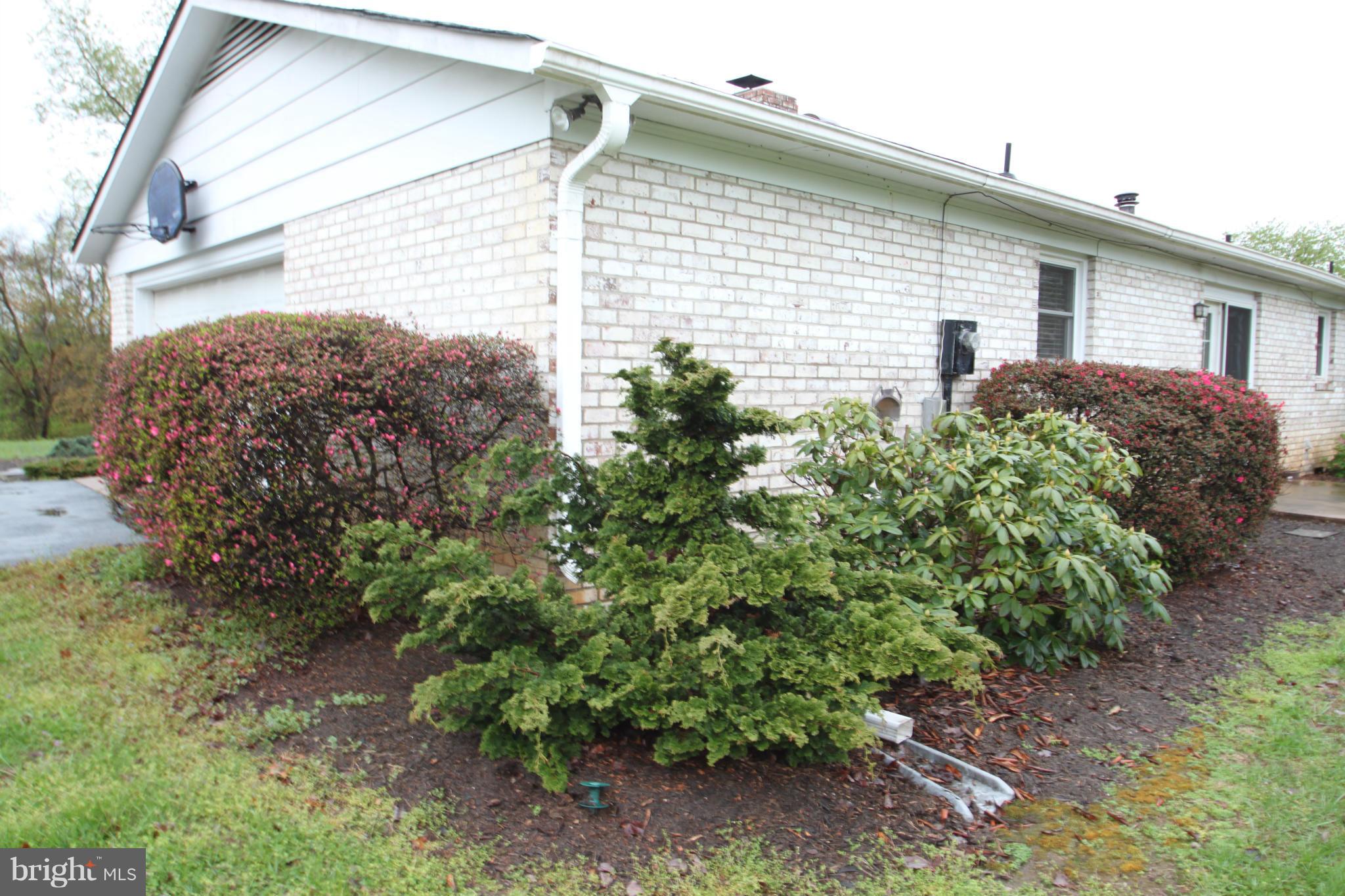 9403 White Shop Road Culpeper, VA 22701 - Photo 6 of 17 Mature shrubs & trees!
