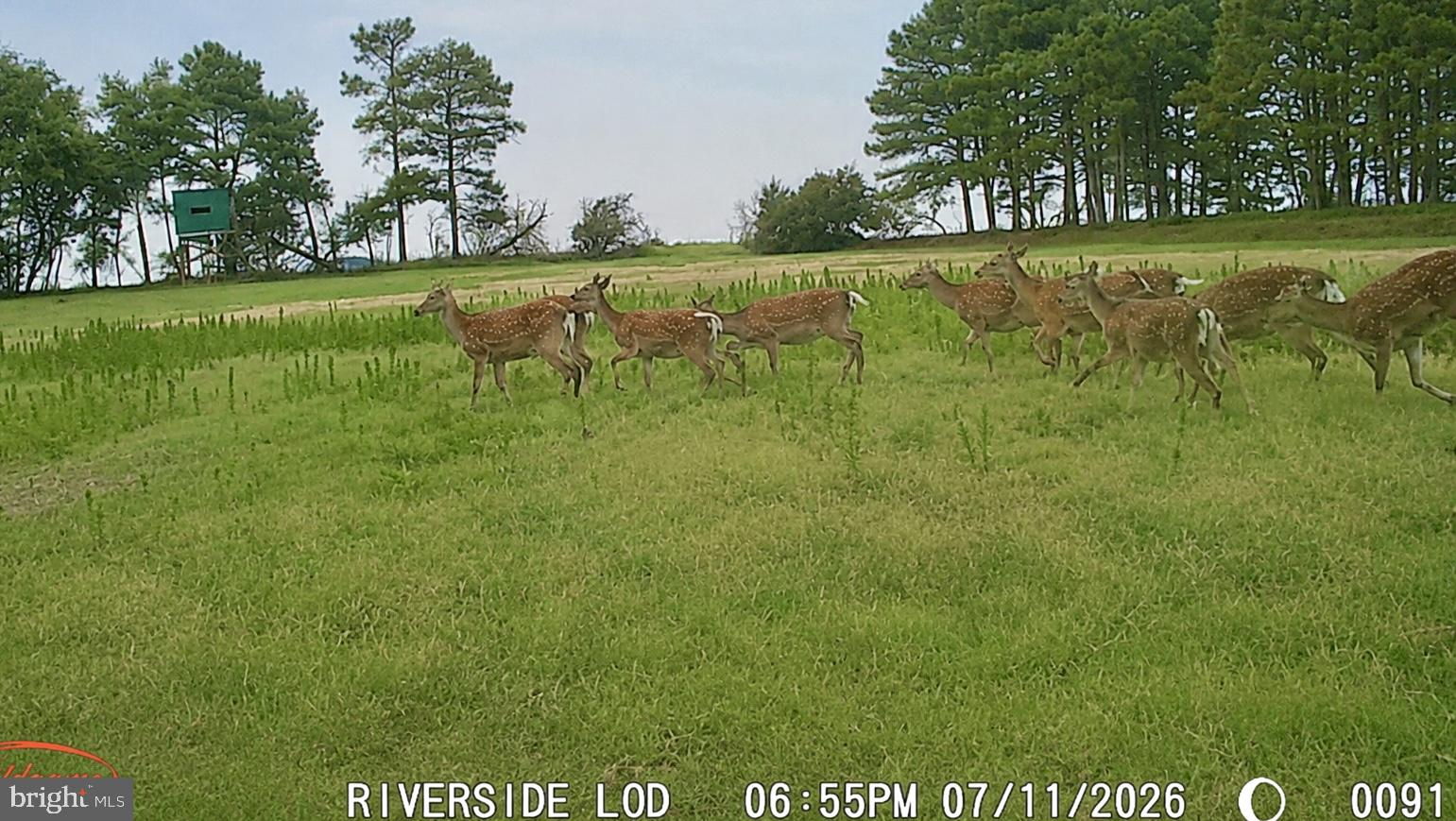 1713 Doeller Road Fishing Creek, MD 21634 - Photo 65 of 96