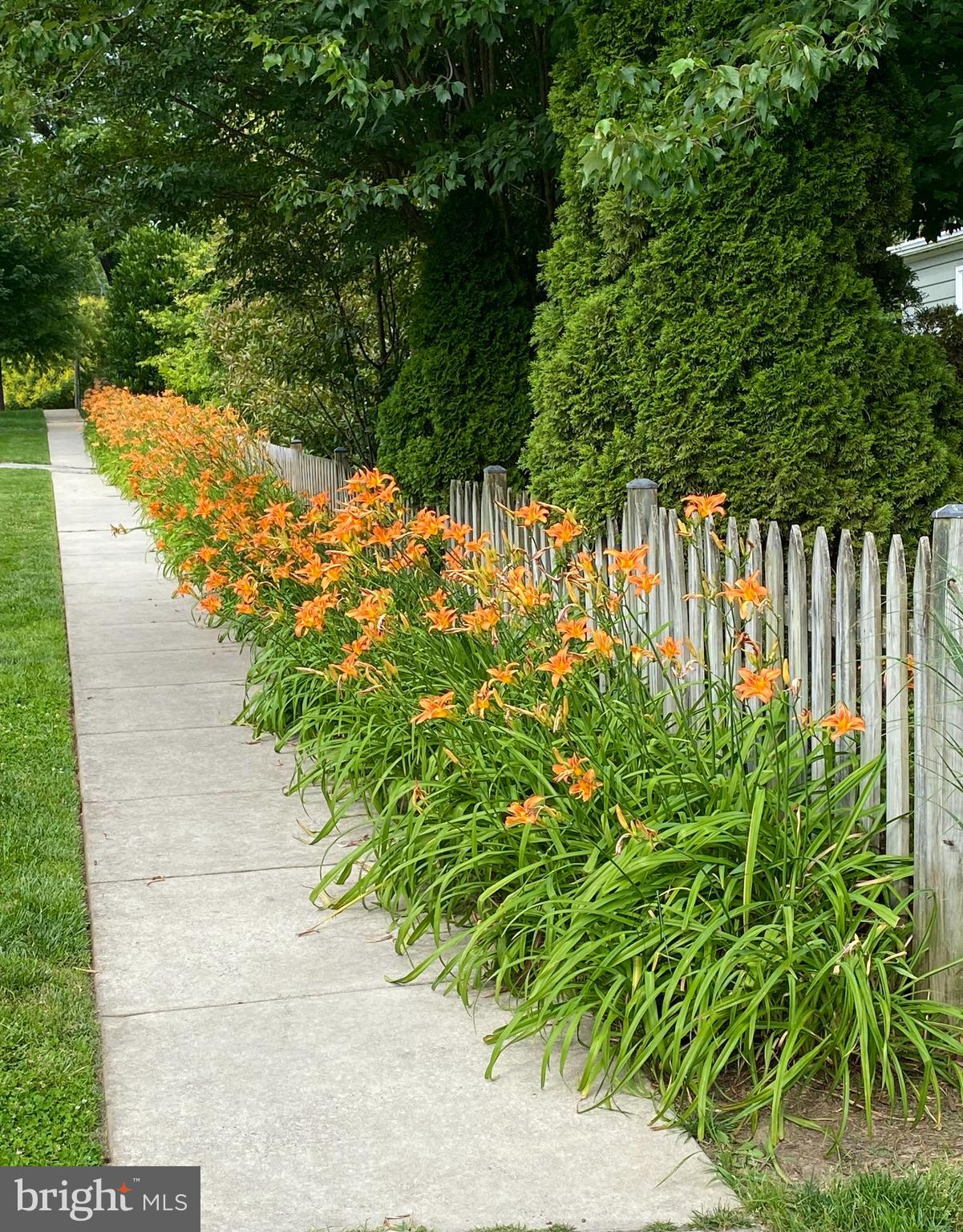 1506 Noyes Drive Silver Spring, MD 20910 - Photo 40 of 51 Neighborhood gardens