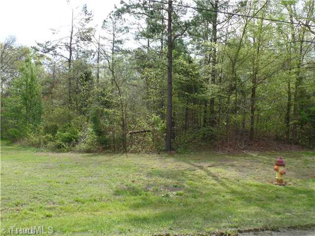 169 Bowers Road Thomasville, NC 27360 - Photo 5 of 5 Land.