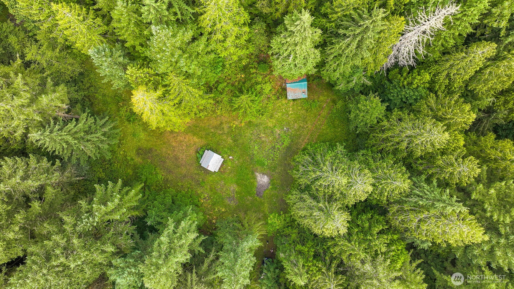 a view of a big yard with lots of bushes