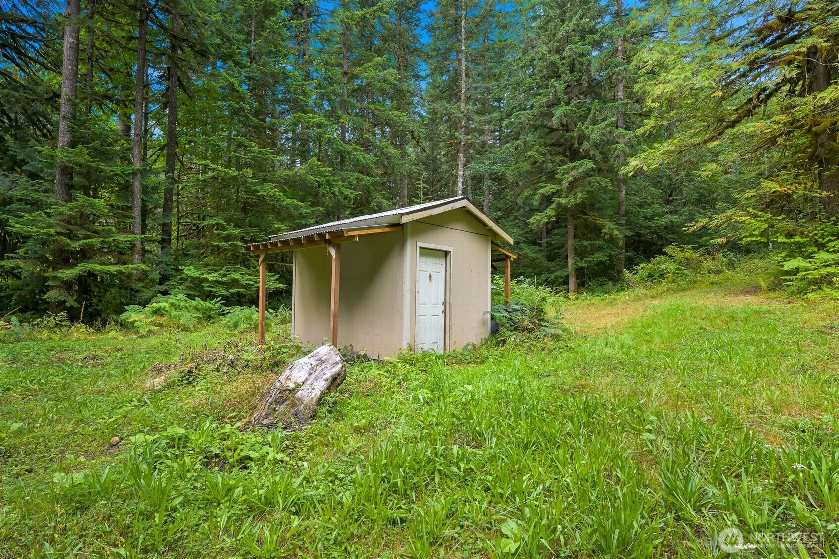 7326 Mt Baker Highway Deming, WA 98244 - Photo 11 of 25 a backyard of a house with plants and large tree
