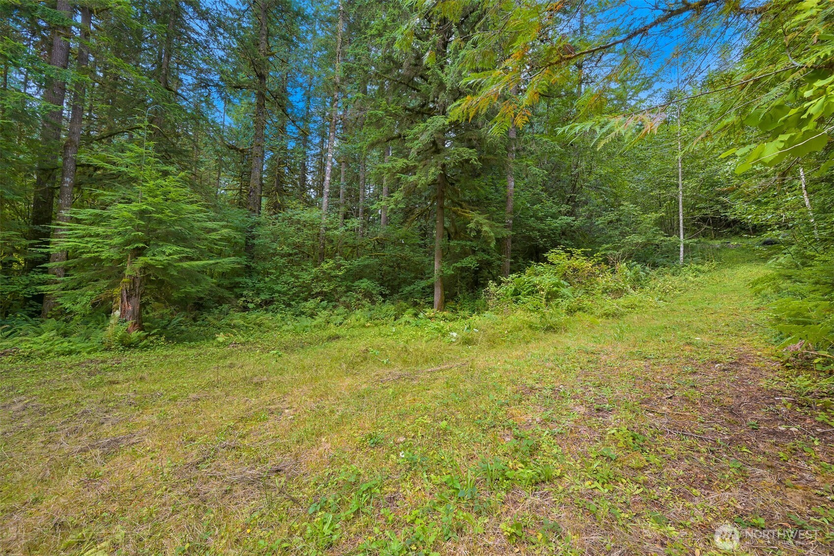 7326 Mt Baker Highway Deming, WA 98244 - Photo 14 of 25 a view of an outdoor space and trees