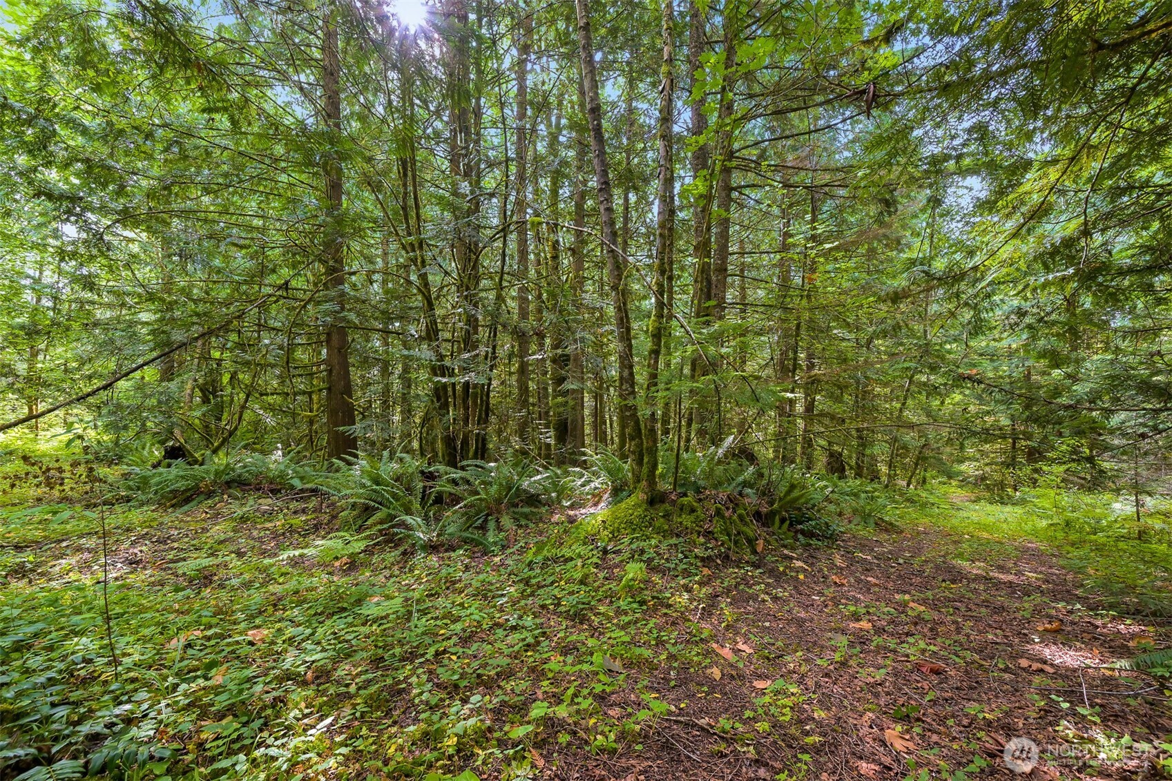 7326 Mt Baker Highway Deming, WA 98244 - Photo 16 of 25 a view of a garden