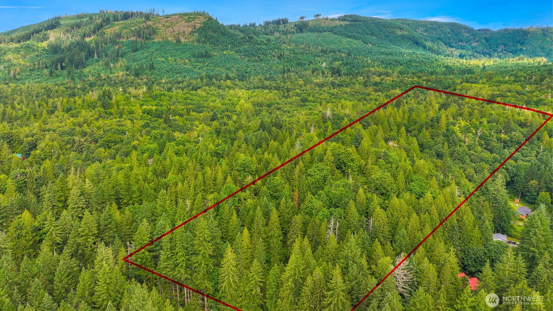 7326 Mt Baker Highway Deming, WA 98244 - Photo 2 of 25 a view of a lush green forest with a lake