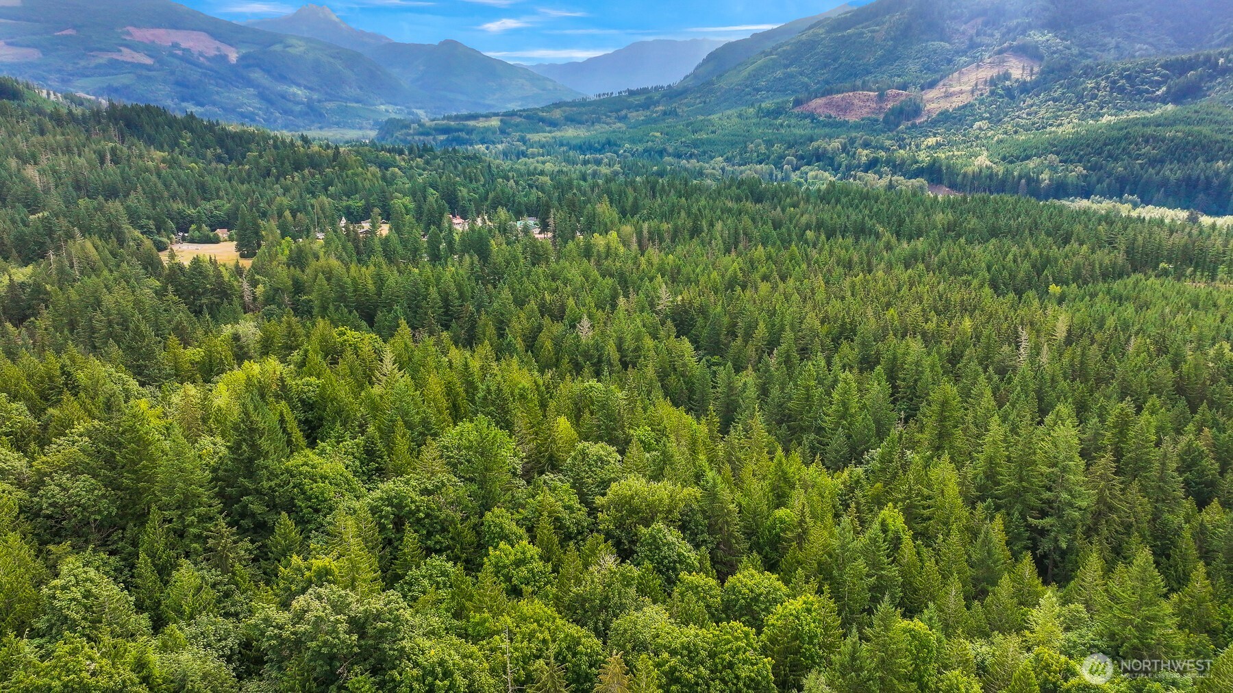 7326 Mt Baker Highway Deming, WA 98244 - Photo 22 of 25 a view of a lush green forest with a houses