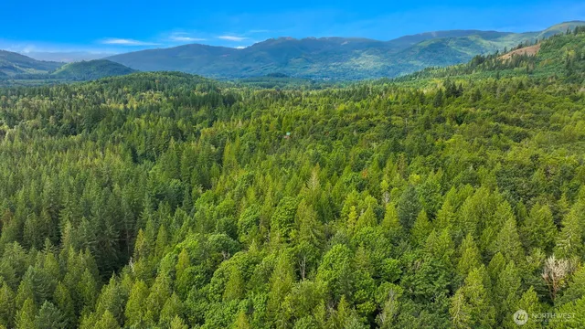 $750,000 | 7326 Mt Baker Highway, Deming, WA 98244