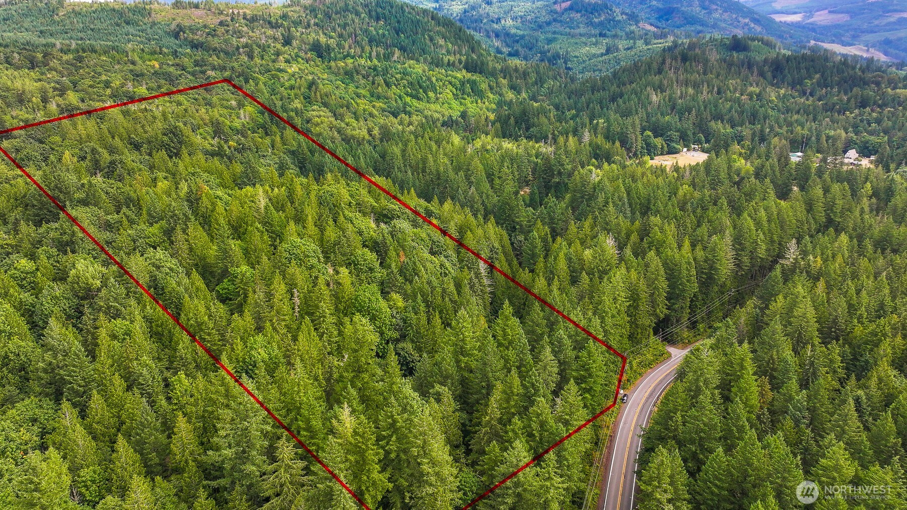 7326 Mt Baker Highway Deming, WA 98244 - Photo 3 of 25 a view of a lush green forest from a balcony