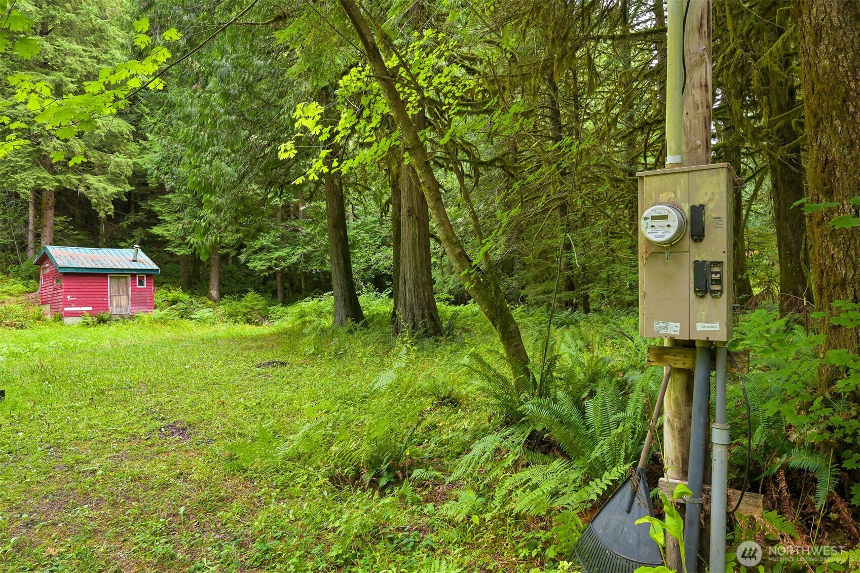 7326 Mt Baker Highway Deming, WA 98244 - Photo 6 of 25 a view of a back yard