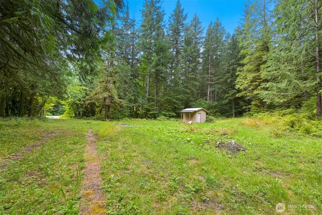 a backyard of a house with plants and large tree