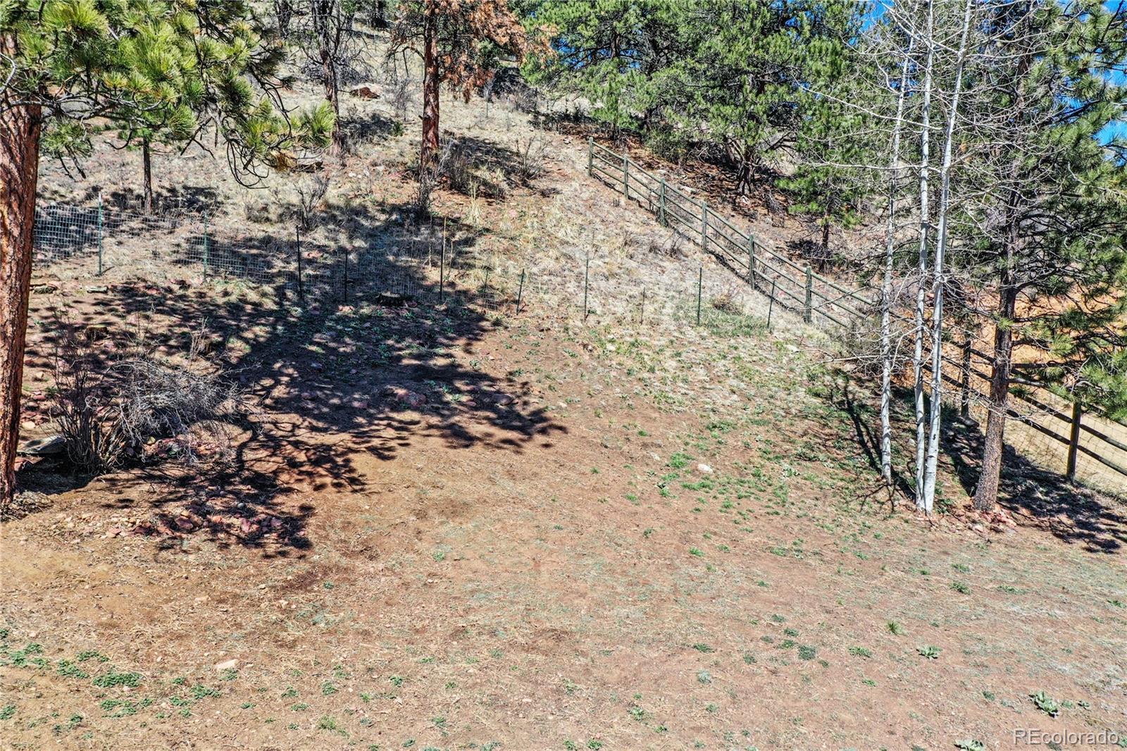 195 Brookside Drive Bailey, CO 80421 - Photo 24 of 24 a view of a forest with lots of trees