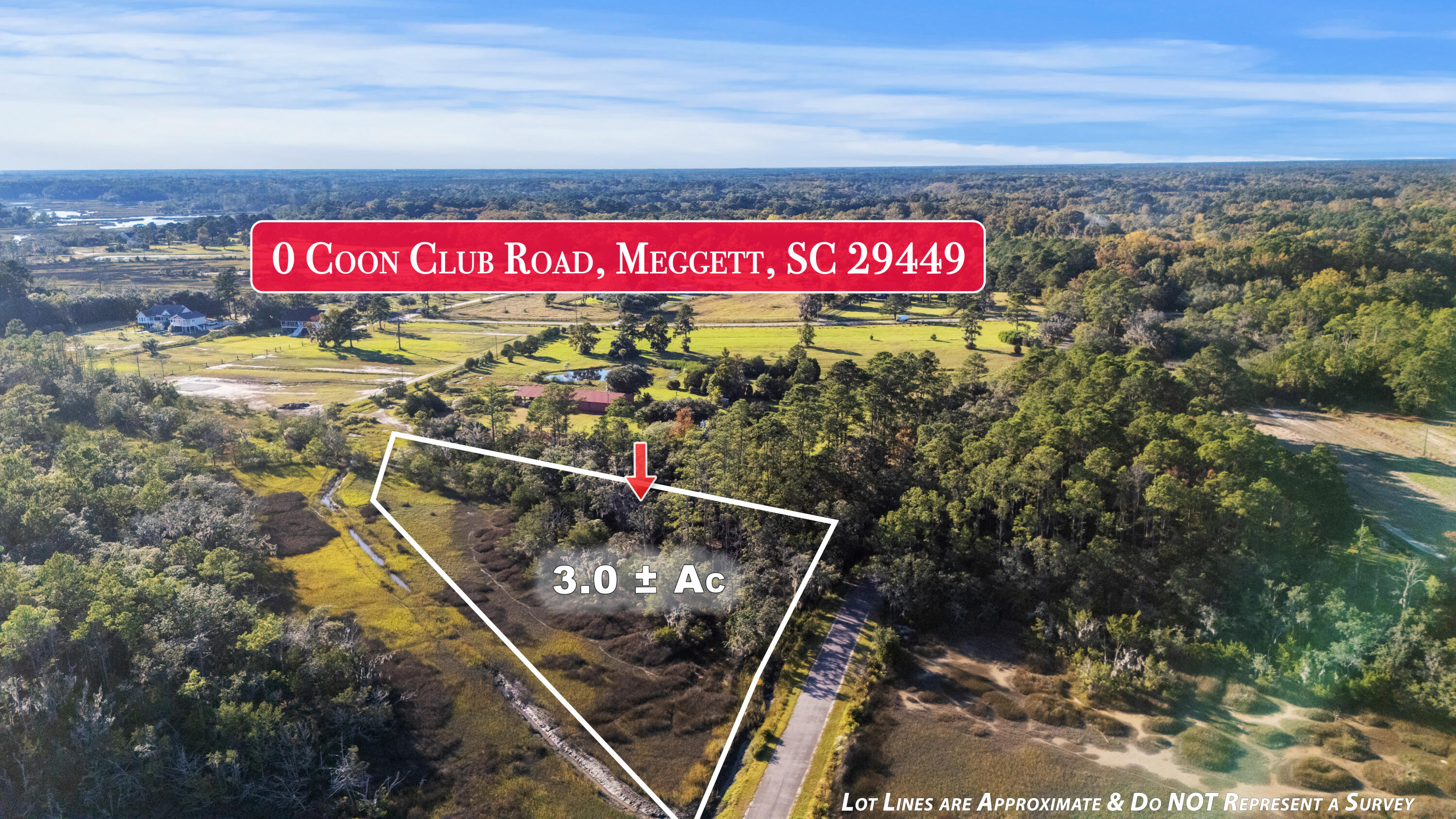 0 Coon Club Road Meggett, SC 29449 - Photo 17 of 18 Drone Aerial