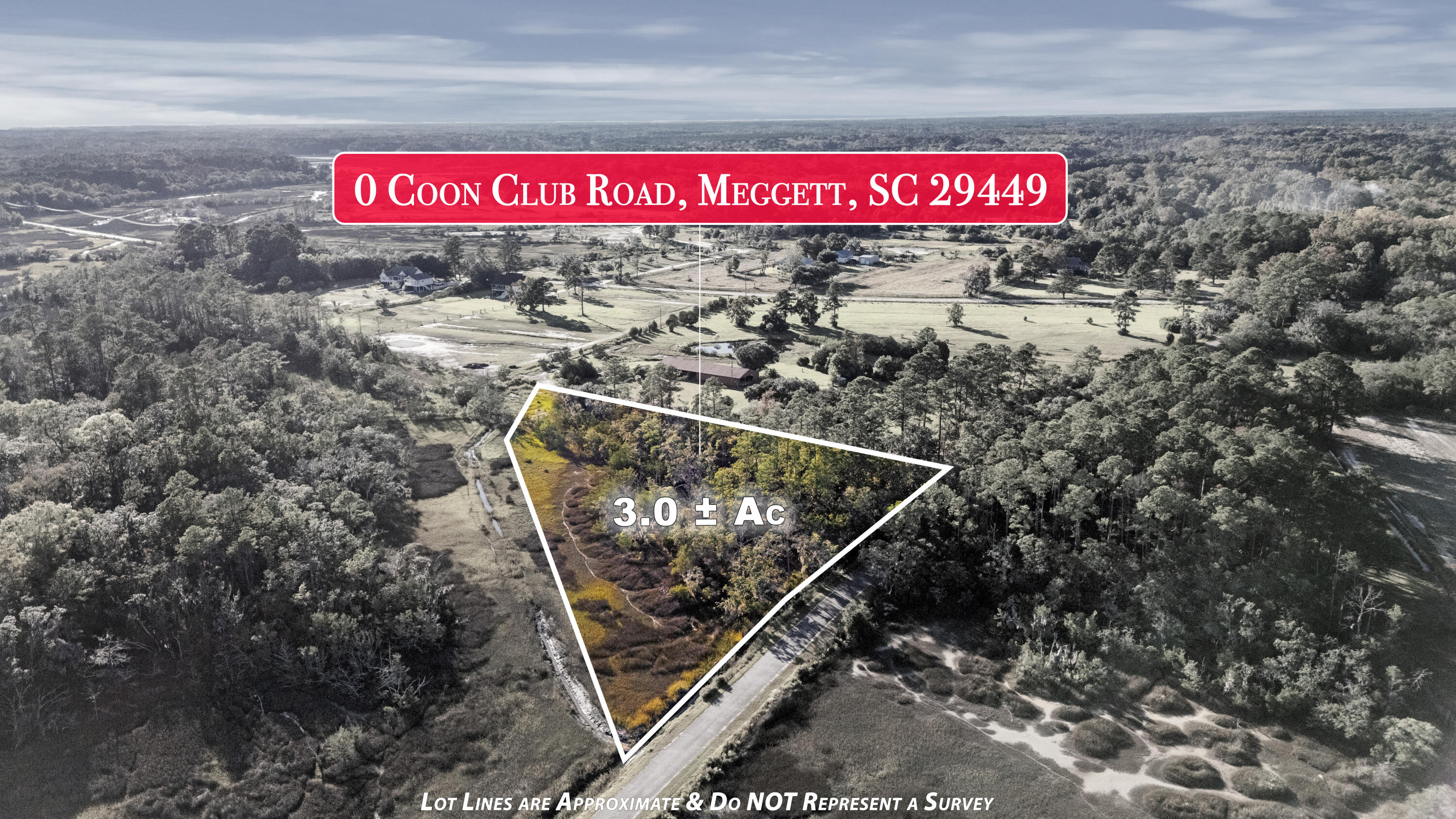 0 Coon Club Road Meggett, SC 29449 - Photo 18 of 18 coon1