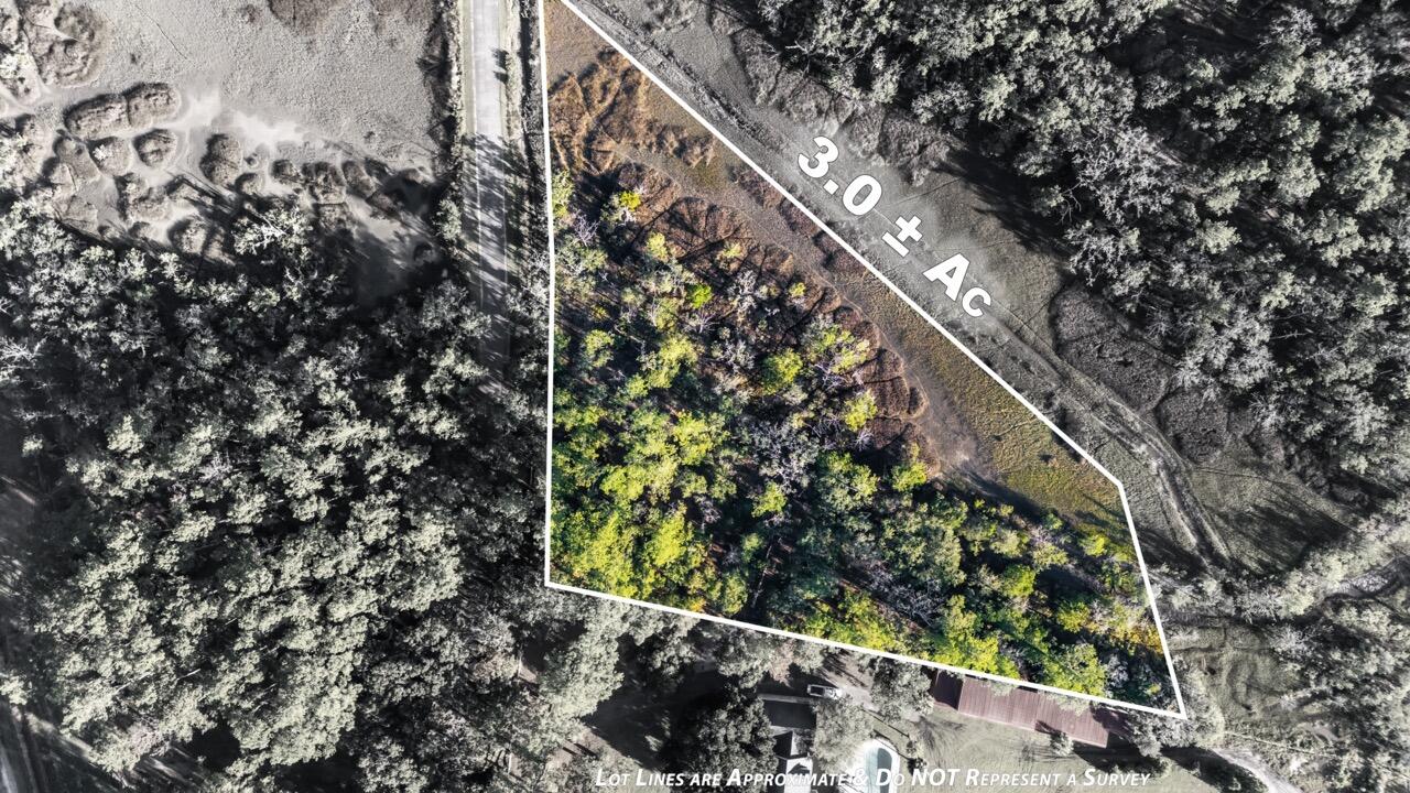 0 Coon Club Road Meggett, SC 29449 - Photo 3 of 18 c5b Large
