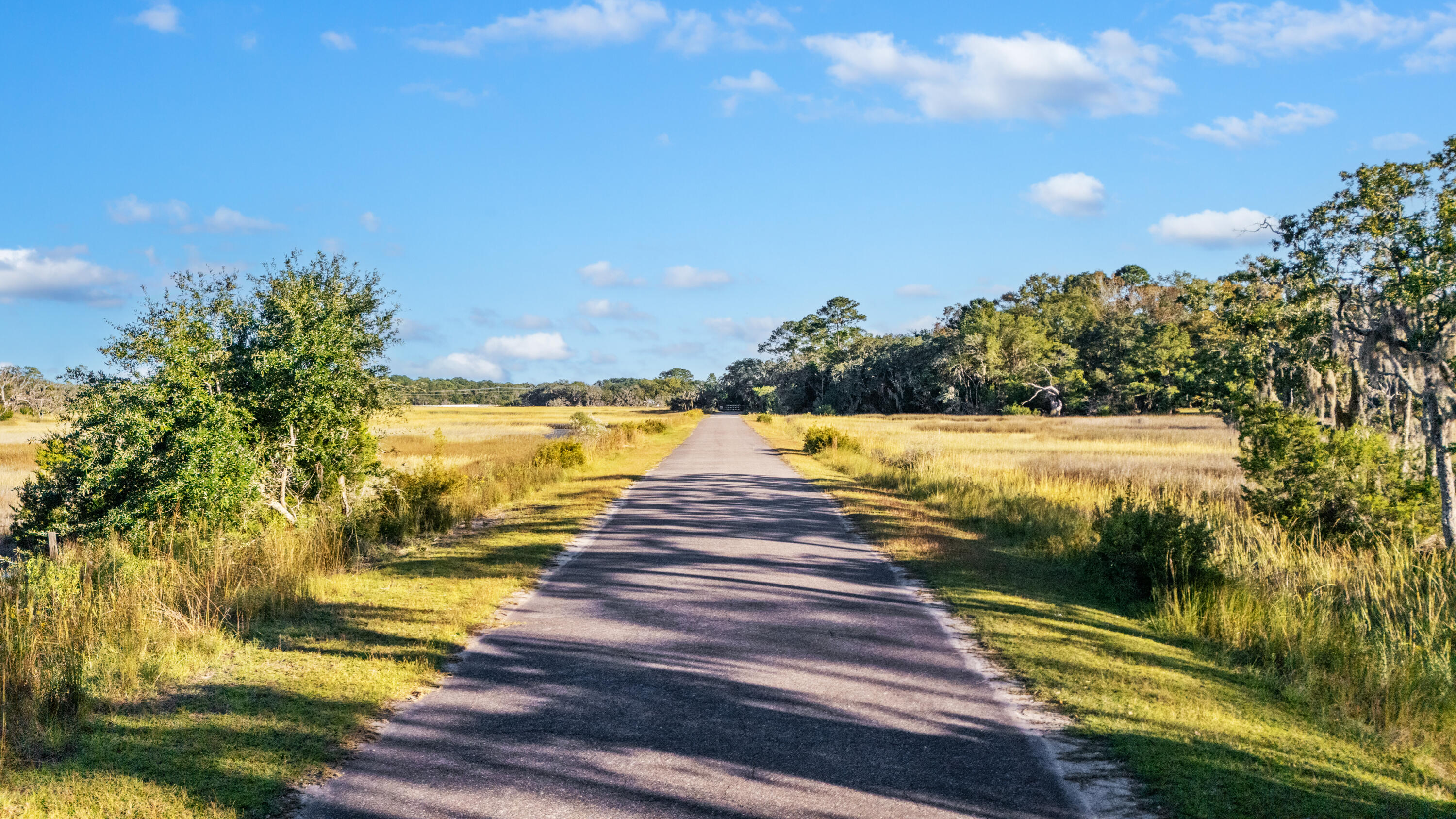 0 Coon Club Road Meggett, SC 29449 - Photo 4 of 18 DJI_20251020170356_0916_D