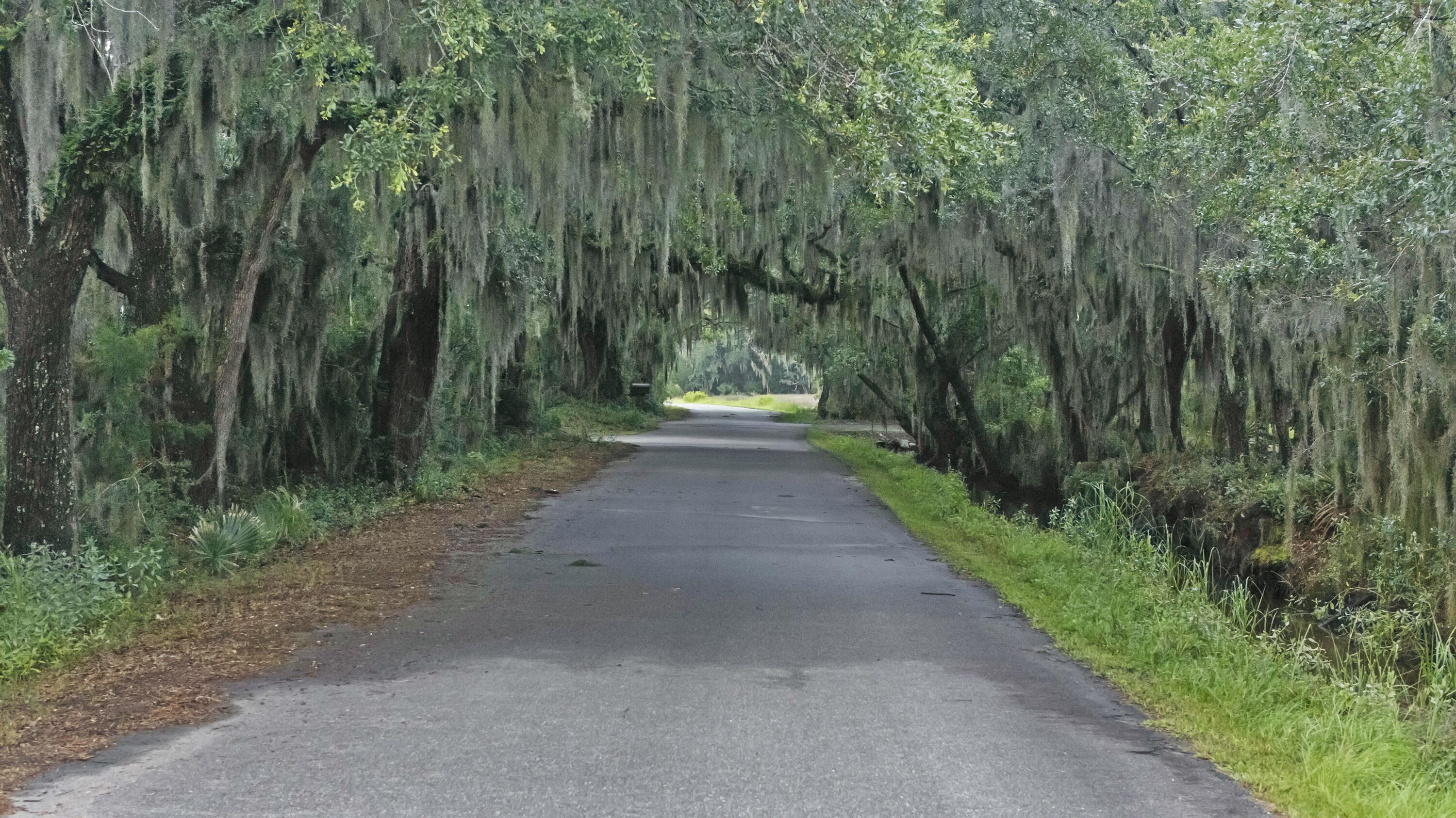 0 Coon Club Road Meggett, SC 29449 - Photo 5 of 18 DJI_20250714202618_0062_D