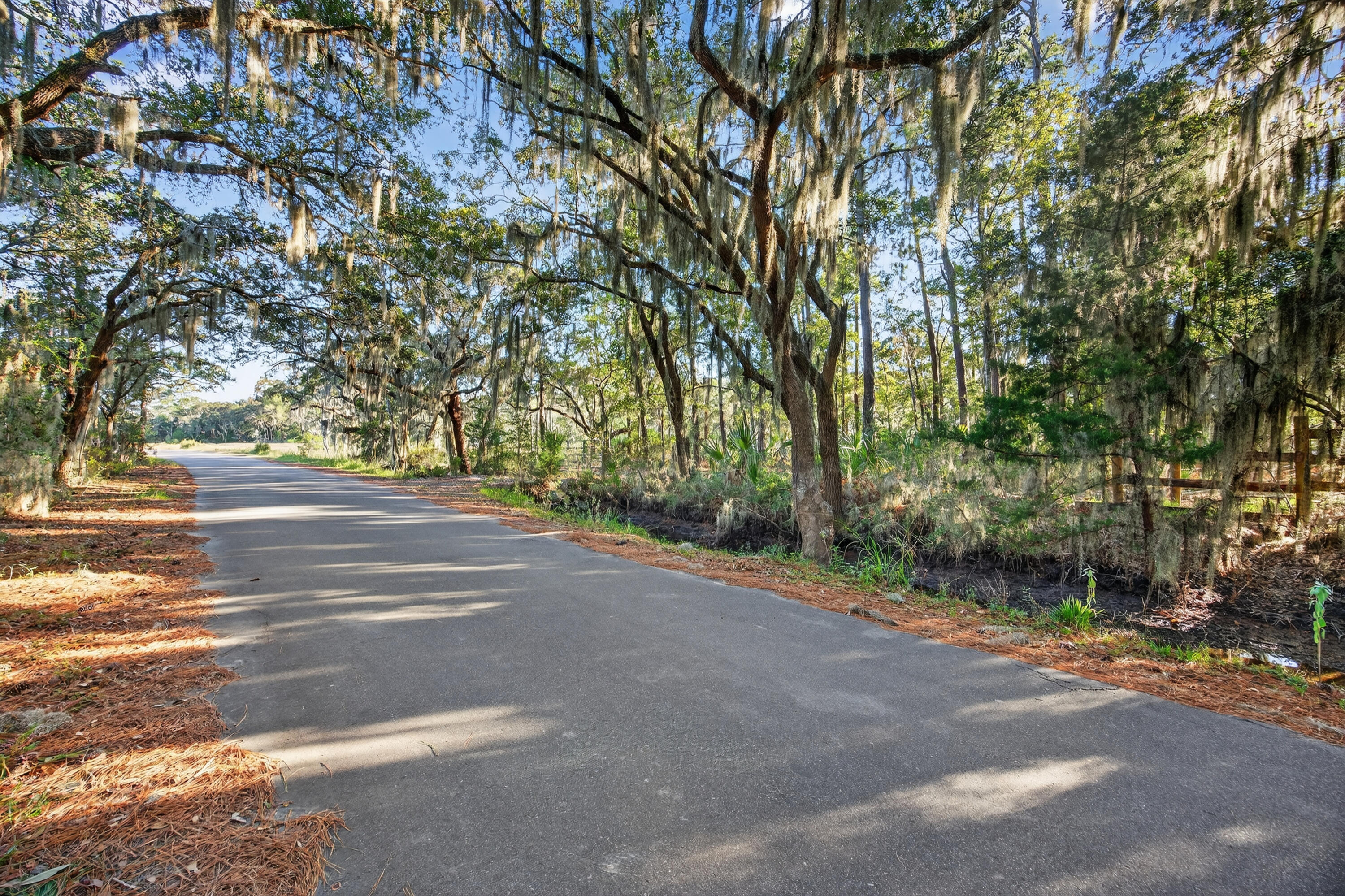 0 Coon Club Road Meggett, SC 29449 - Photo 6 of 18 243A7221