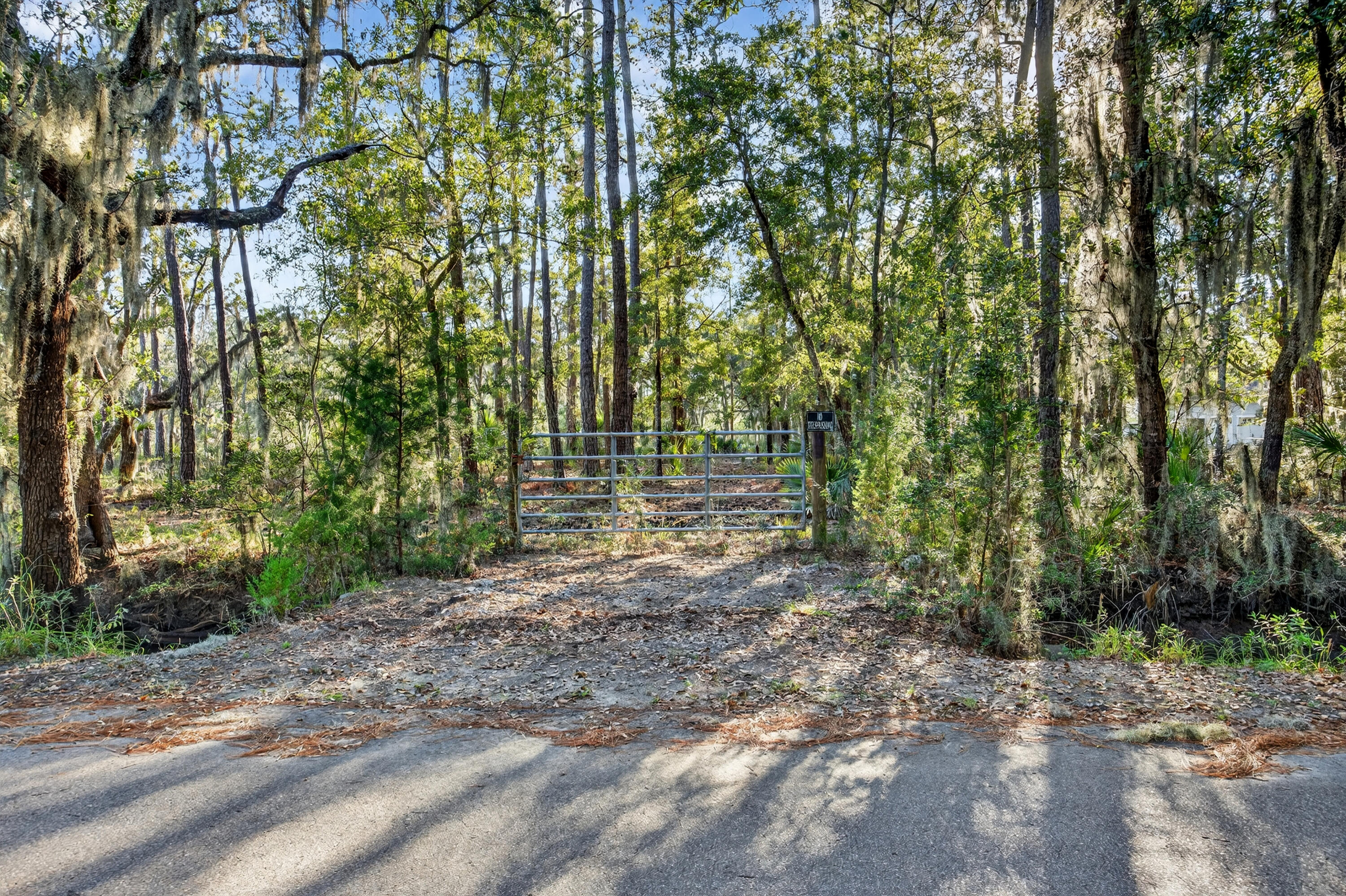0 Coon Club Road Meggett, SC 29449 - Photo 7 of 18 243A7230