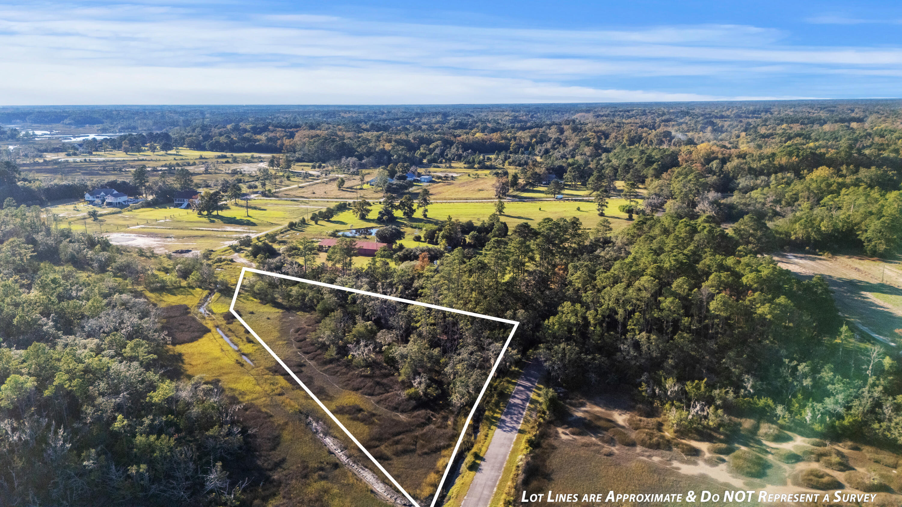 0 Coon Club Road Meggett, SC 29449 - Photo 9 of 18 C4__