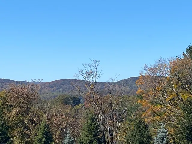 a view of a dry field