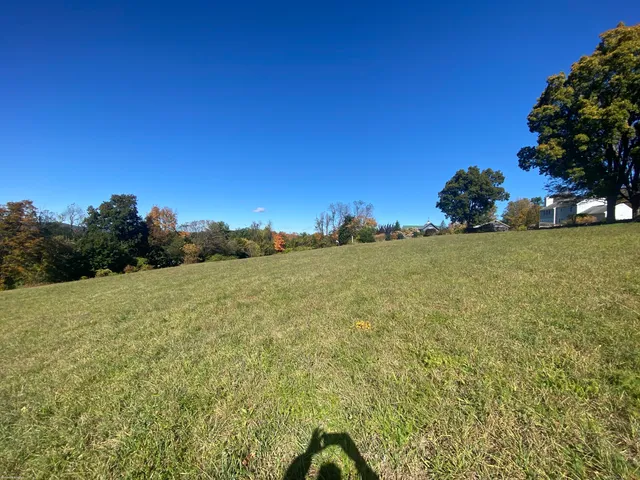 a view of a large yard with an outdoor space